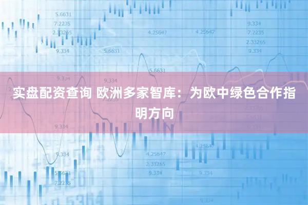 实盘配资查询 欧洲多家智库：为欧中绿色合作指明方向